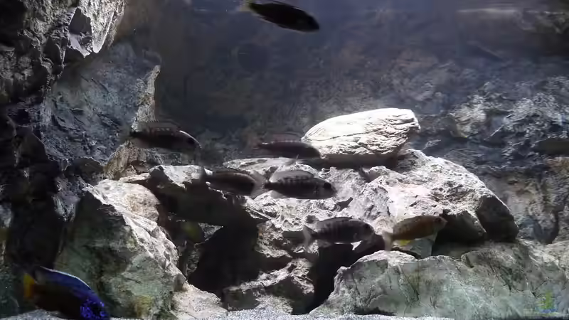 linke Seite des Beckens von DER YBBSTALER (3)