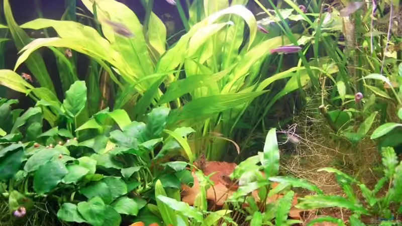 Linke Seite des Beckens von Erik Dreßen (2)