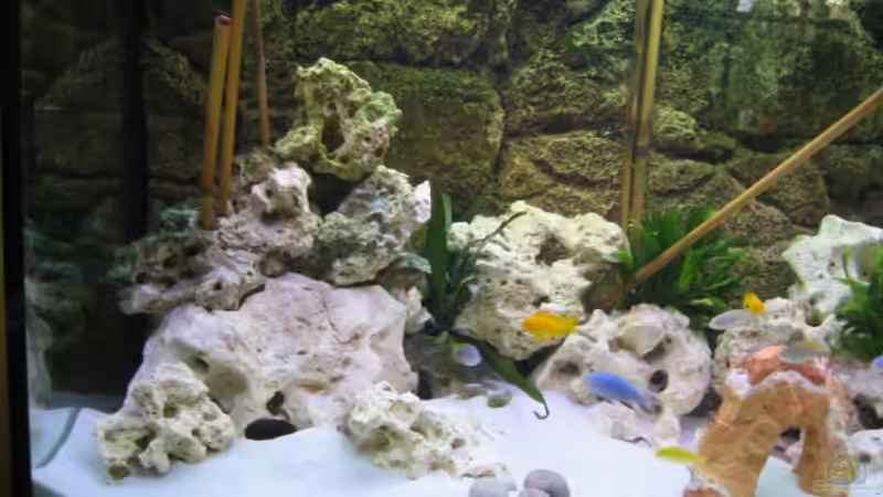 Linke Seite des Beckens von Michael Friel (2)