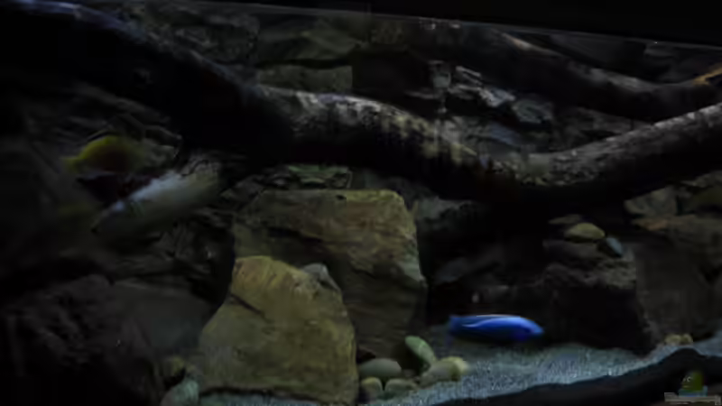 linke Seite des Beckens von The Duke of woods (2)