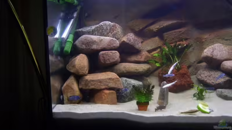 Linke seite des Beckens von Torsten Krohn (3)