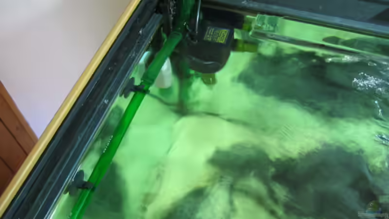 linke seite mit filtereinlauf und turbelle von Beat Zureich (6)