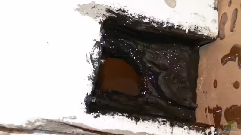 linke seite mit Höhle 08.01.2013 von DominikZ (17)