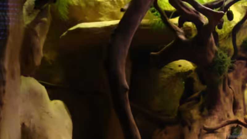 Linke Seite mit Höhle und Aussichtsplattform von manzanarez (4)