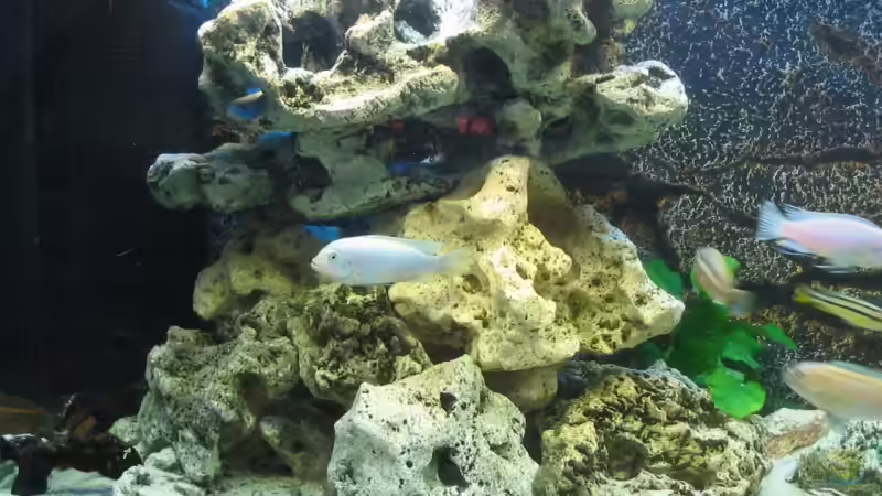 Linke Seite mit Innenfilter... von Deutschmaschine (3)