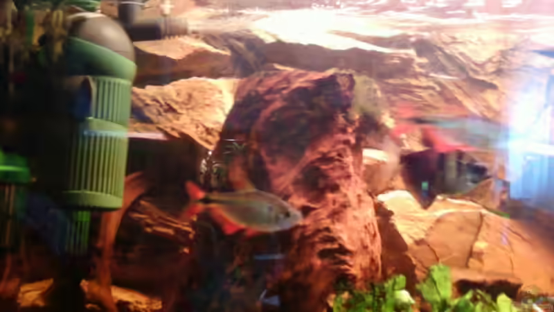 linke Seite mit Innenfilter ´Aquaball´ von holzmichel (3)