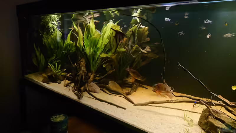 linke Seite mit Schwimmraum und Bleheries von DennisTheMenis (22)