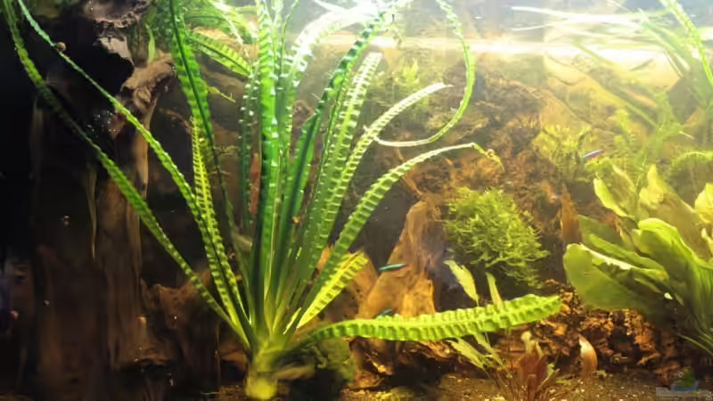 linke Seite November 2008 von Marcus Blum (6)