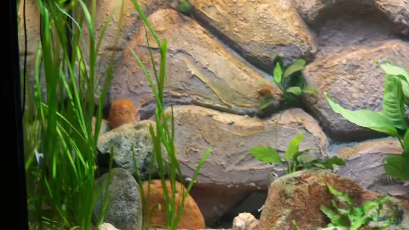 Linke Seite Stand 18.09.2007 von Bastian Otto (5)