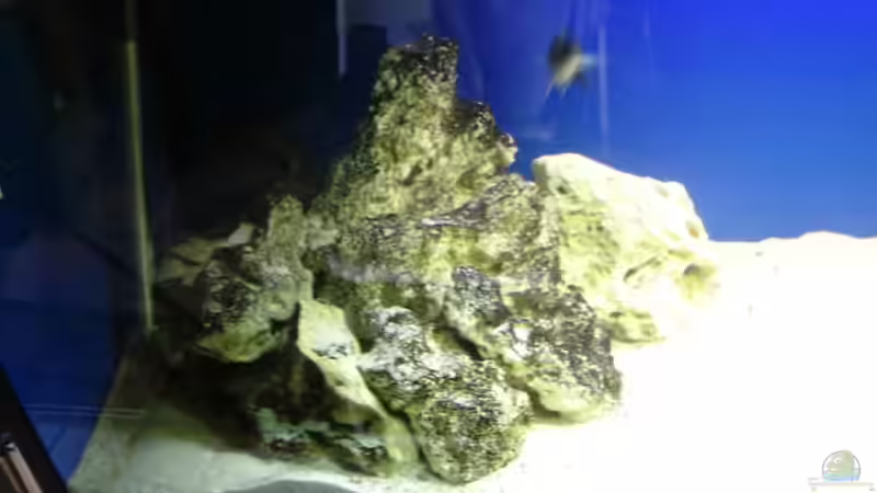 linke seite steinaufbau von chrismalawifan (13)