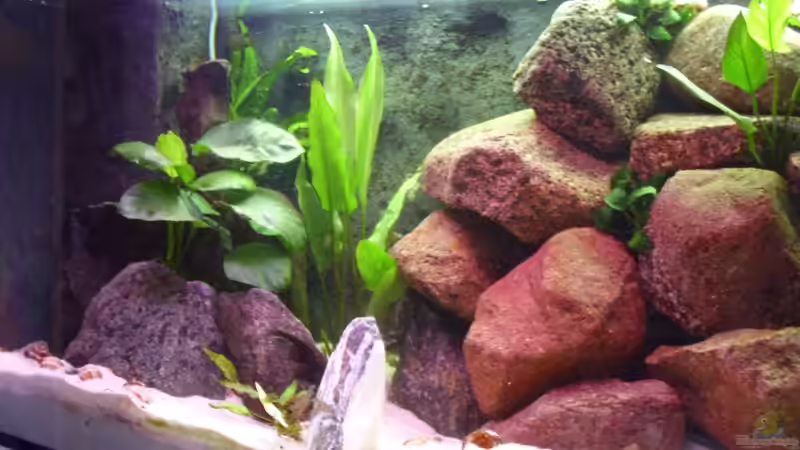 linke Seite (Update) von deBouwer (9)