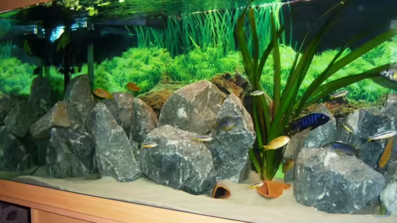 Linke Seite von 47 Malawi (3)