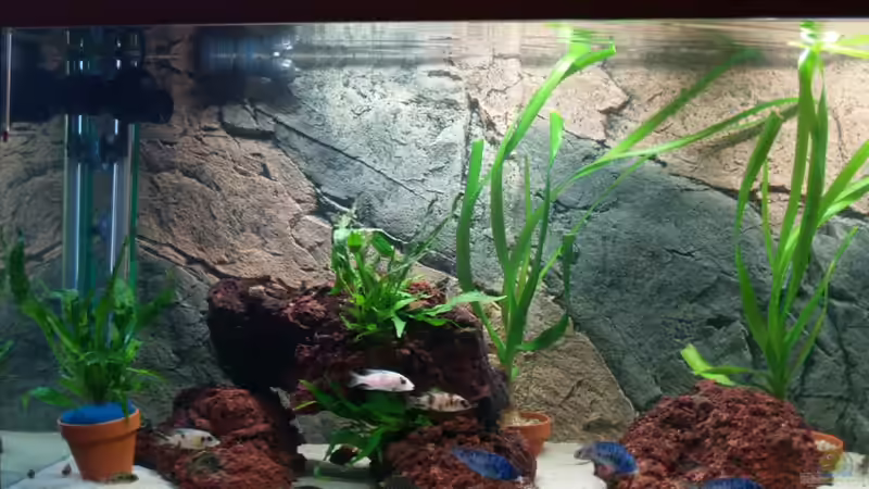 linke Seite von Aqua2010 (2)