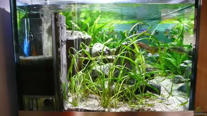 linke Seite von aquabert (5)