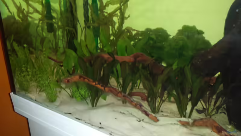 linke Seite von AustroTom (6)