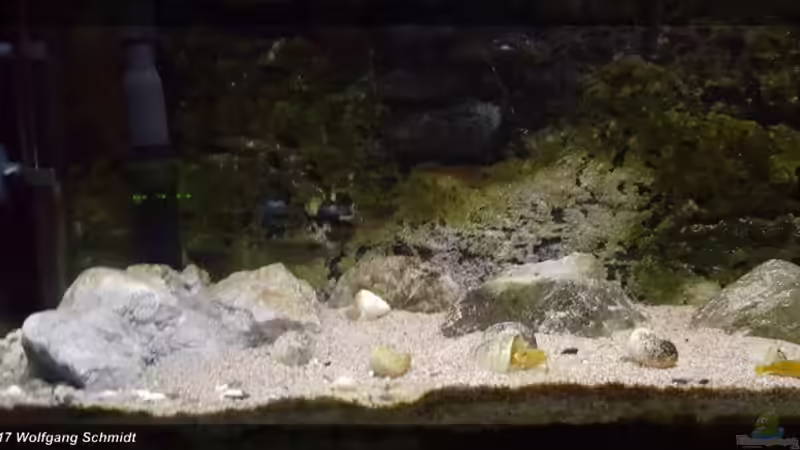 linke Seite von Bämbel (2)