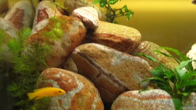 Linke Seite von Bene92 (3)