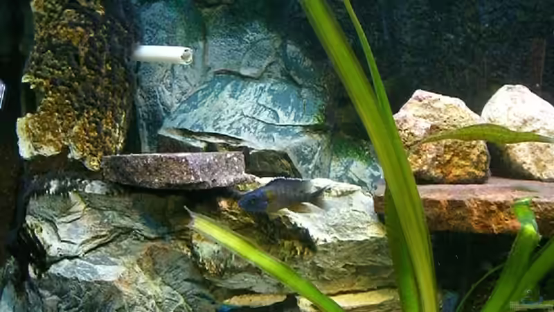 linke seite von Bootboy (3)