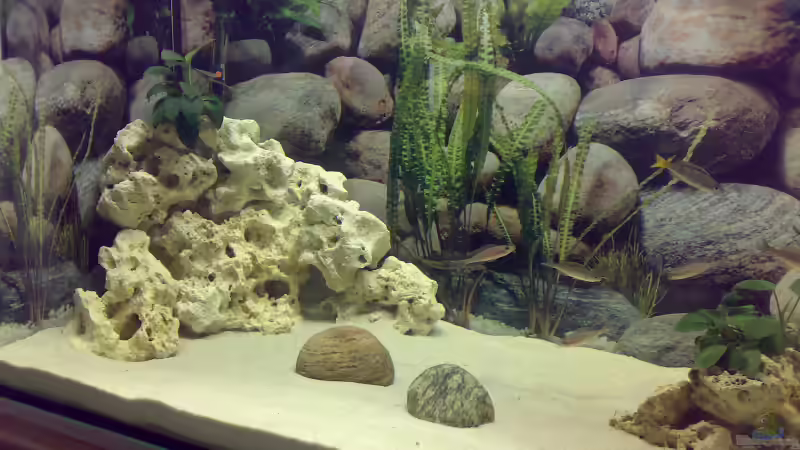 linke Seite von Carsten Stange (2)