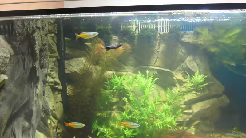 linke Seite von Christian Grunwald (10)