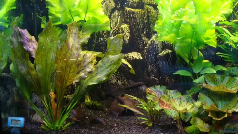 linke Seite von Christian Heitmann (3)