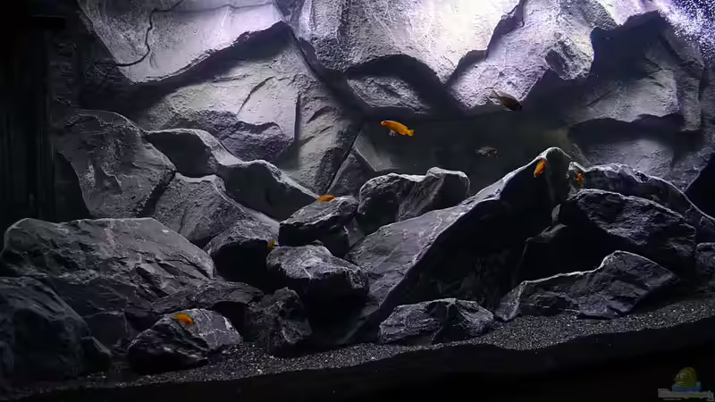 Linke Seite von DaKo77 (2)