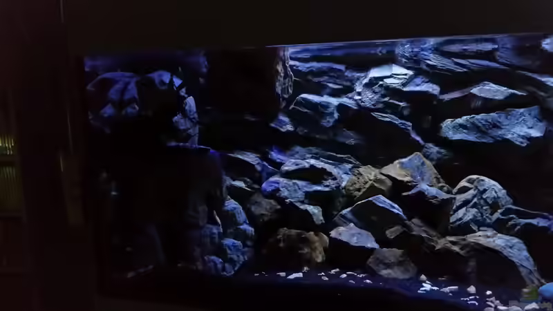 Linke Seite von Daniel H. (24)