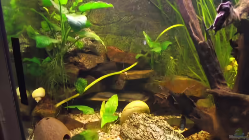 linke Seite von Detlef Peter (16)