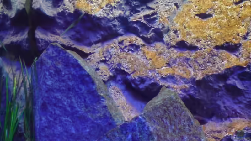 Linke Seite von Dommsel (14)