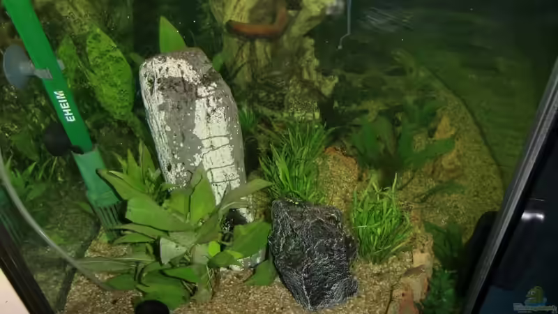 linke seite von EcoSyS (13)