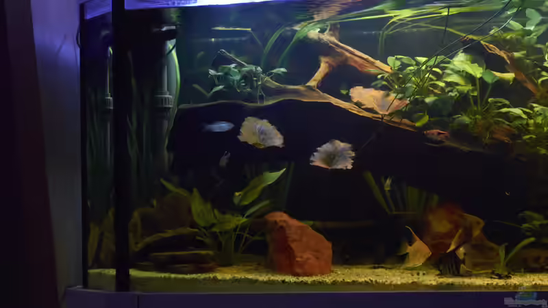 Linke Seite von Enrico Friedrich (7)