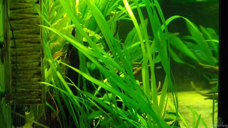 linke Seite von Fabian Ber (17)