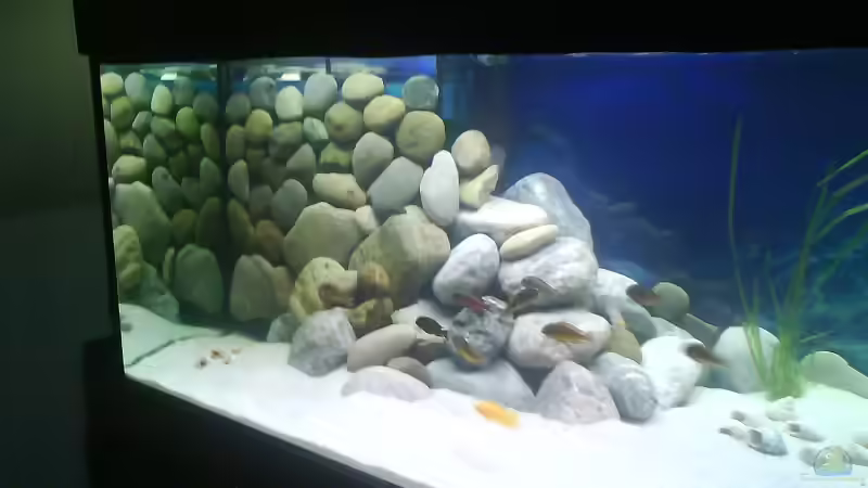 linke Seite von Gernold Lengert (16)