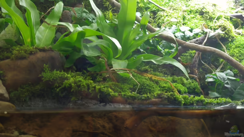 Linke Seite von gkr123 (2)