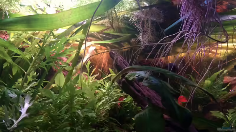 Linke Seite von Harald Kästner (11)