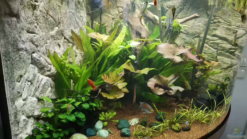 Linke Seite von Ickebins (4)