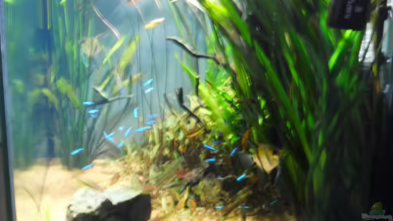 linke Seite von Jan Hüsemann (5)