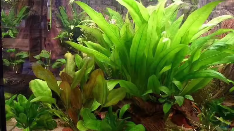 Linke Seite von Jan Kersten (3)