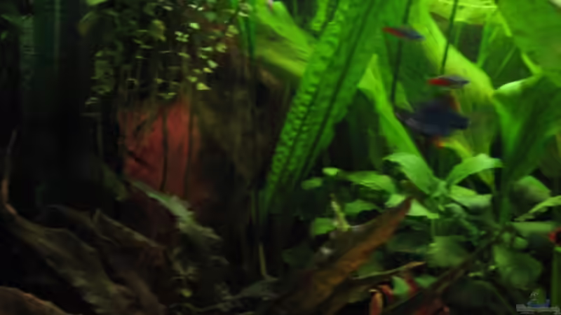 linke Seite von Jens Holzner (4)