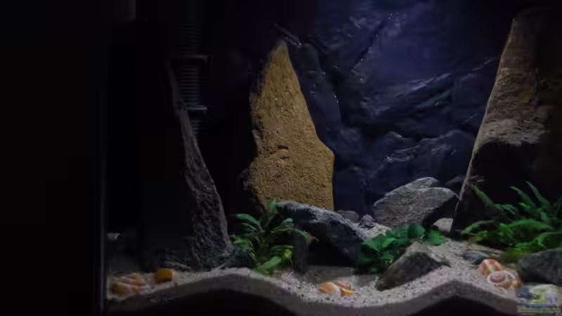 linke Seite von junger Aquarianer (3)