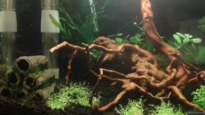 Linke Seite von Kai M (4)