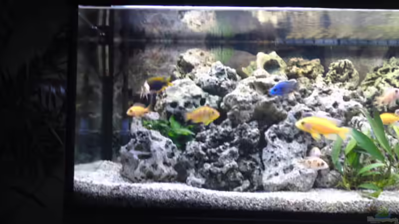 linke Seite von Klaus M. (4)