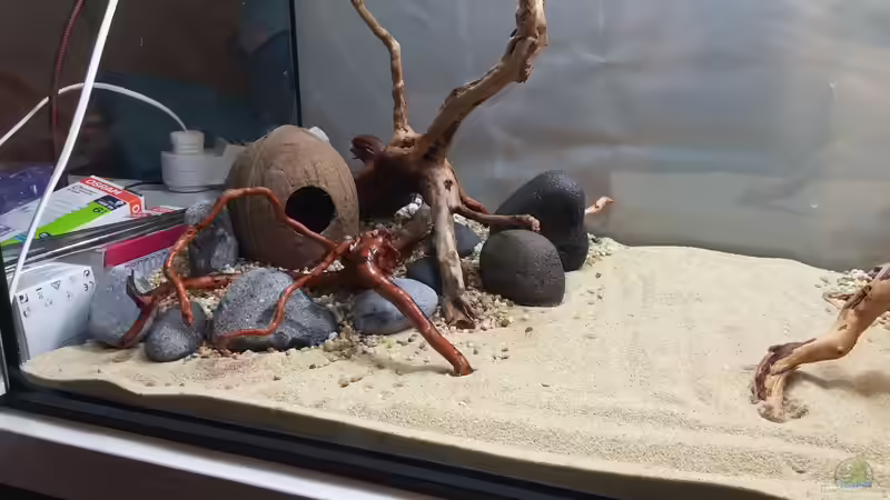 Linke Seite von KleinerPlaty (15)