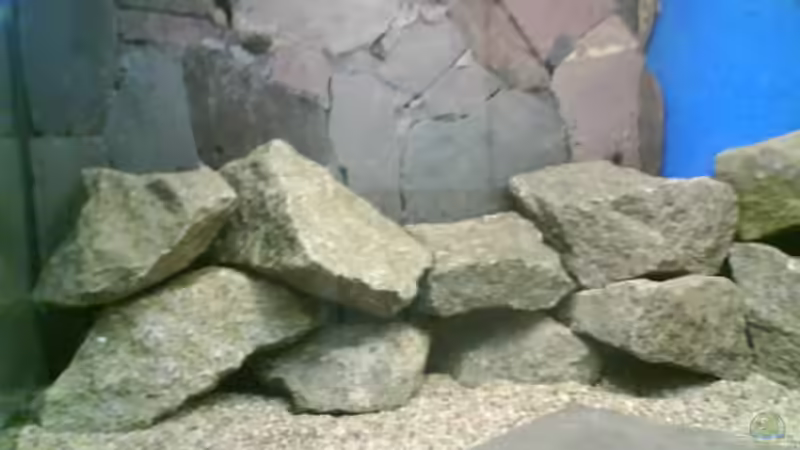 linke seite von leutert1 (5)