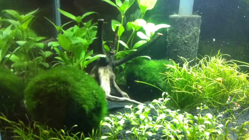 linke Seite von Markus96 (3)