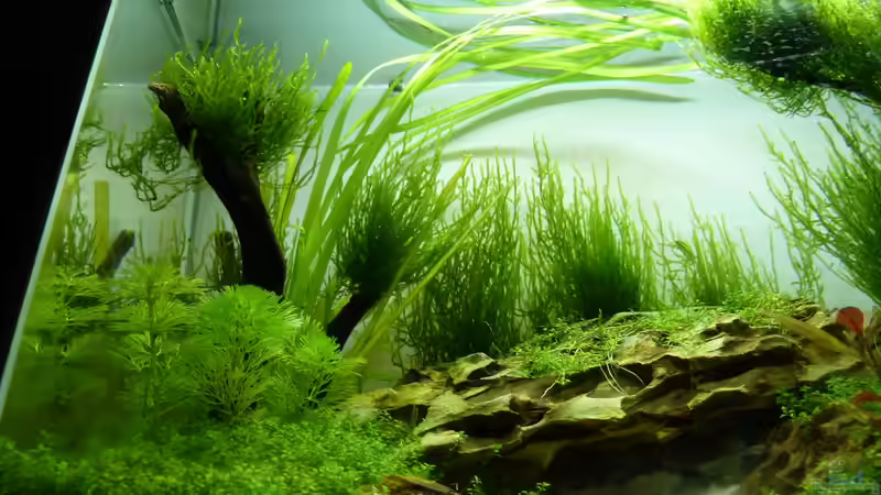 linke Seite von Martin W. (3)