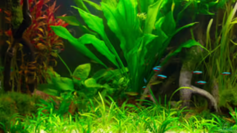 linke Seite von Mathias Möller (4)