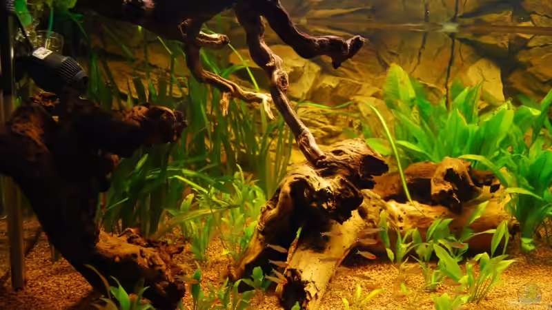 linke Seite von matthiasm (28)