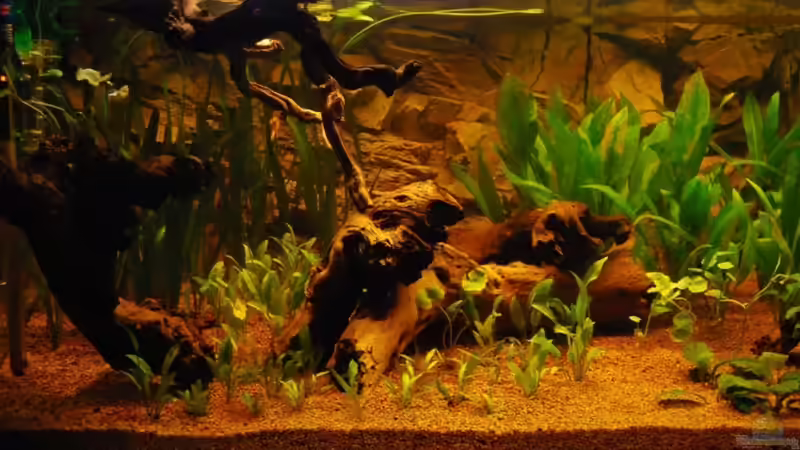 linke Seite von matthiasm (6)