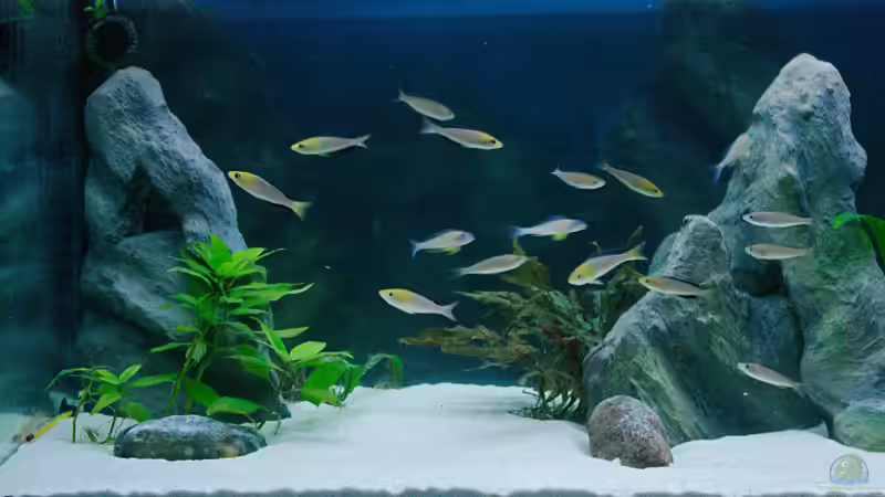 linke Seite von Miriam (6)